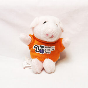 Beanie Animal Keychain ** LOW QUANTITY