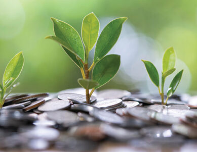 Hermann Sons Life MYGA: Providing Safety, Security, and Guaranteed Returns - Hermann Sons Life