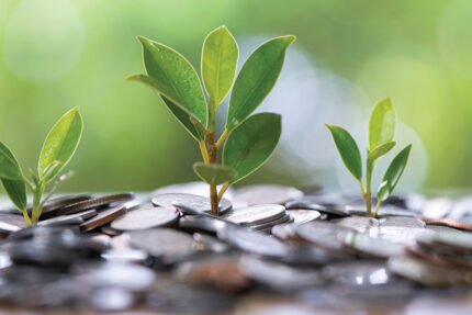 Hermann Sons Life MYGA: Providing Safety, Security, and Guaranteed Returns - Hermann Sons Life