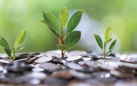 Hermann Sons Life MYGA: Providing Safety, Security, and Guaranteed Returns - Hermann Sons Life